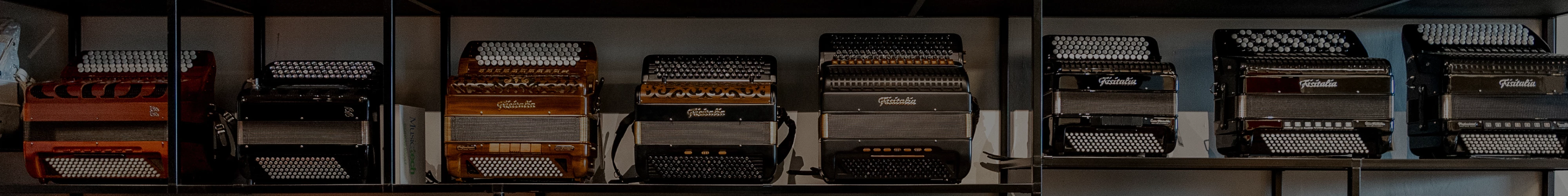 akoestische accordeons